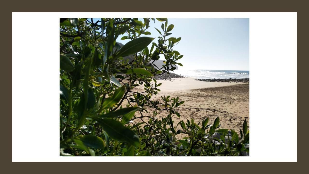 Buzio Villa Vila do Bispo Ngoại thất bức ảnh